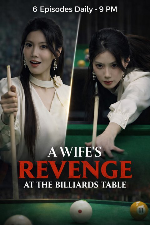 Queen of Billiards poster